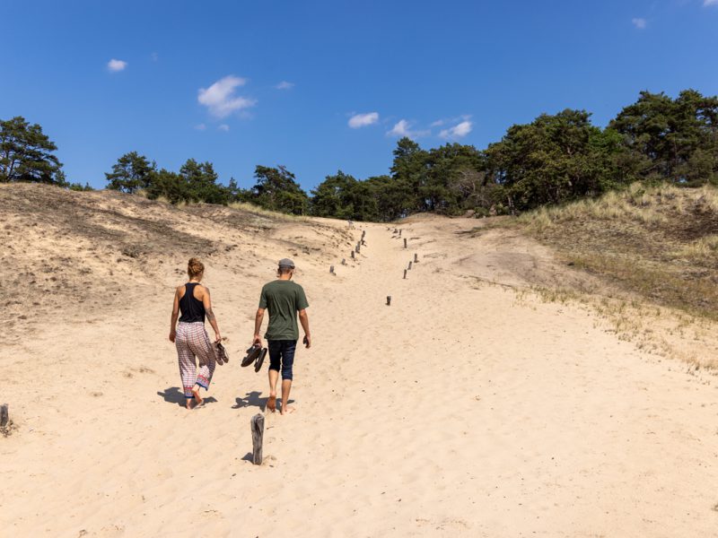 Barfuss durch den Sand. Erkunde die größte Binnendüne entlang eines kleine Wanderweg mit Infotafeln (c) prignitzliebe - Anja Möller