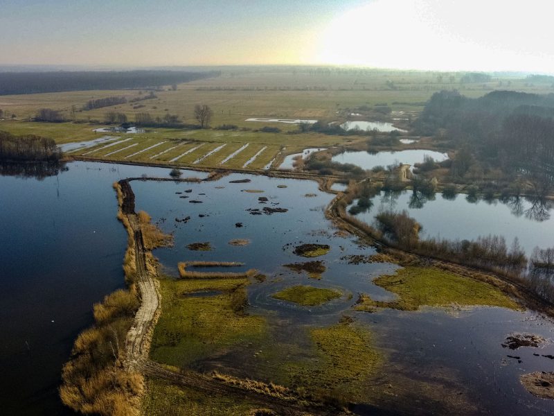 Ein Landschaftsschutzgebiet mit vielen Tümpeln,, die Brietzer Teiche, aus der Vogelperspektive